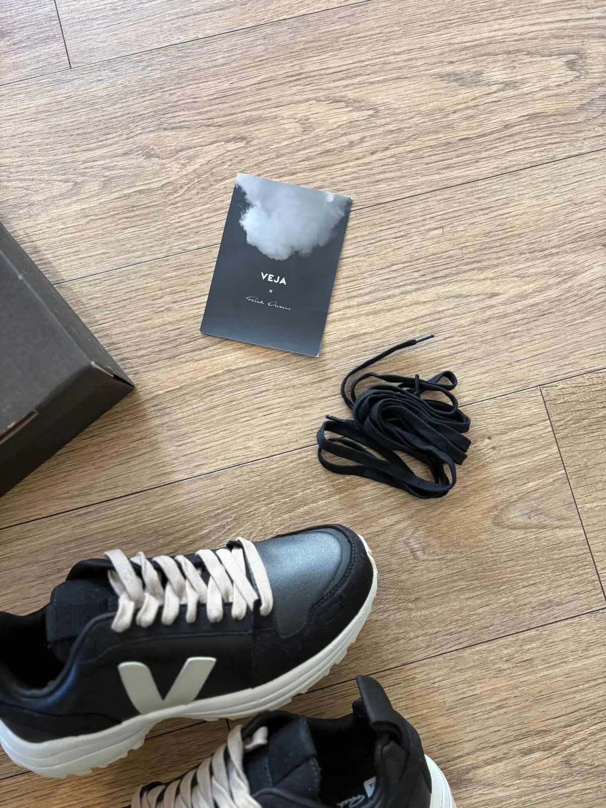 Rick Owens x Veja hiking trainer