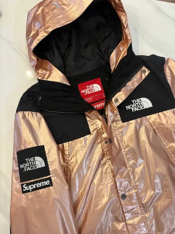 Supreme Supreme x The North Face metallic mountain parka