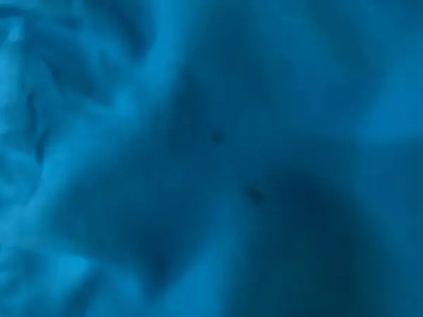 Blue Nike Shorts - Large