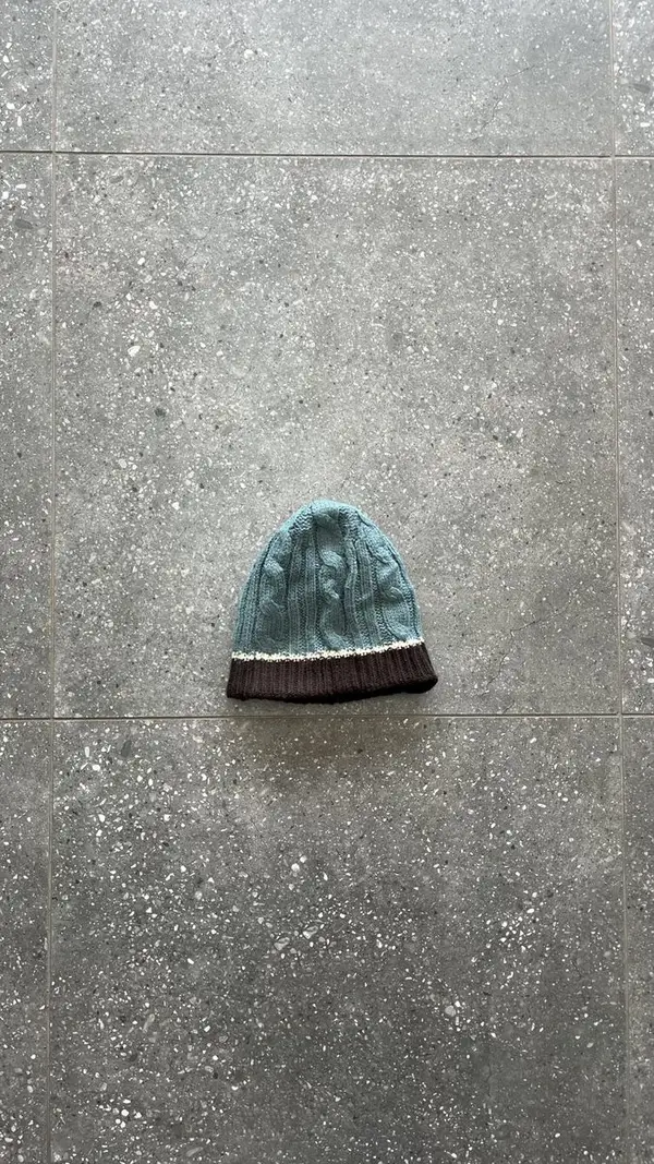 Blue & Brown Carhartt Beanie - One Size Fits All