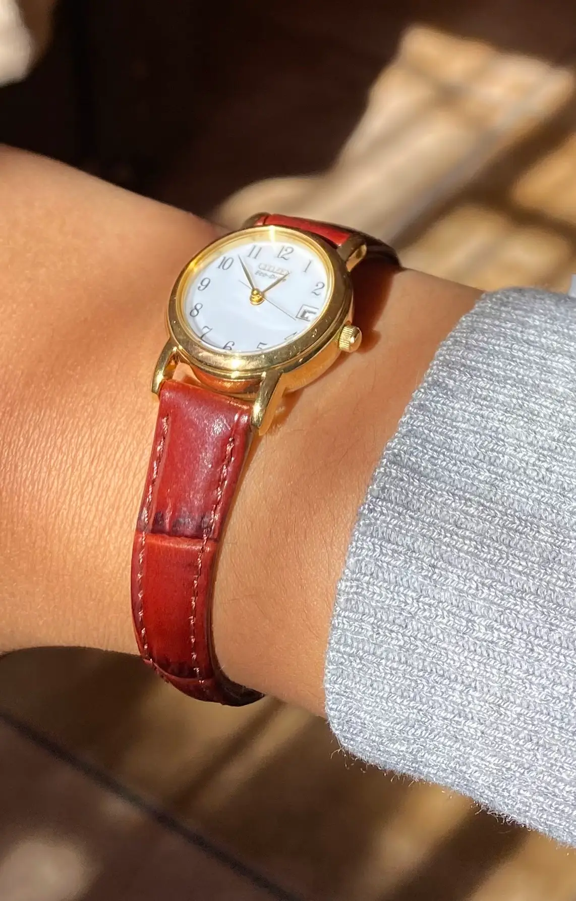 Citizen Women's Brown Leather Strap Strap Eco-Drive