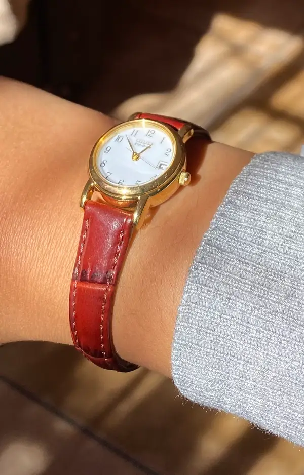 Citizen Citizen Women's Brown Leather Strap Strap Eco-Drive