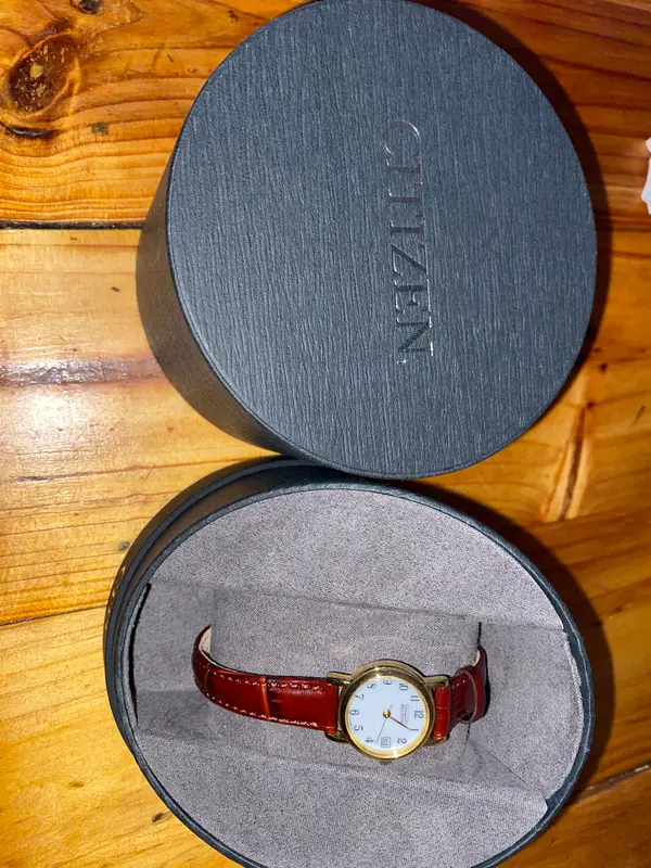 Citizen Women's Brown Leather Strap Strap Eco-Drive