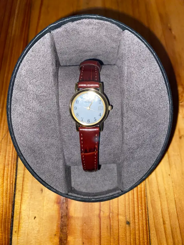 Citizen Women's Brown Leather Strap Strap Eco-Drive