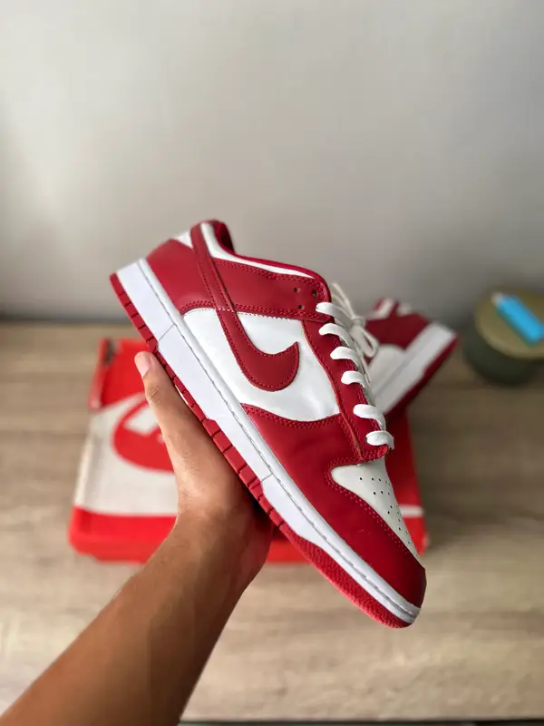 Nike Nike Dunk UK10