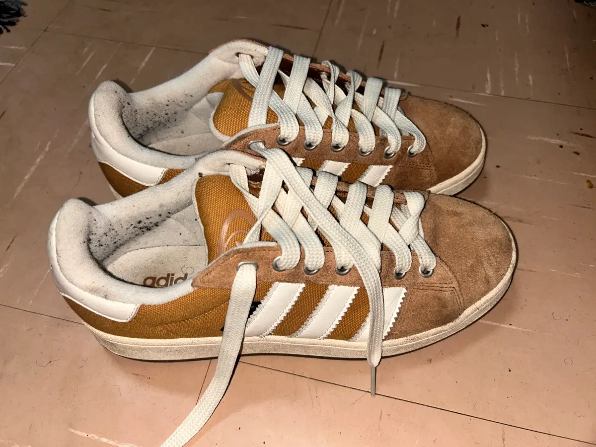 Adidas Campus Brown