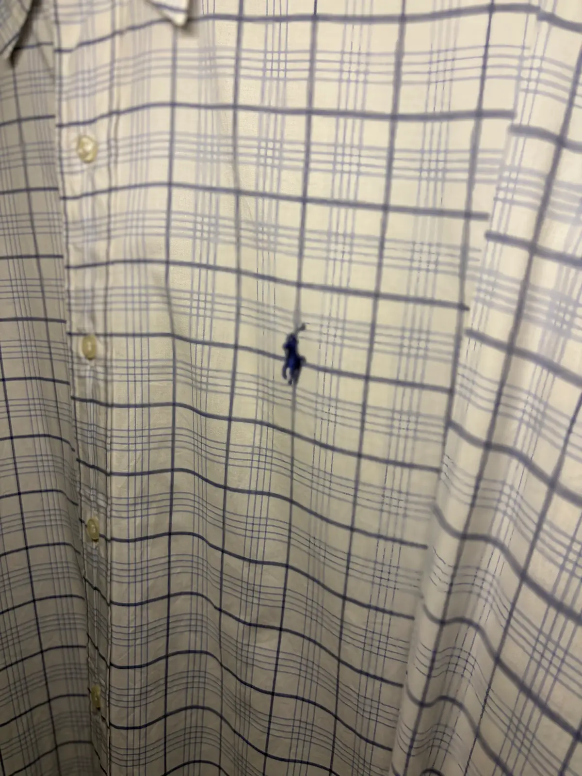 Ralph Lauren Button Up