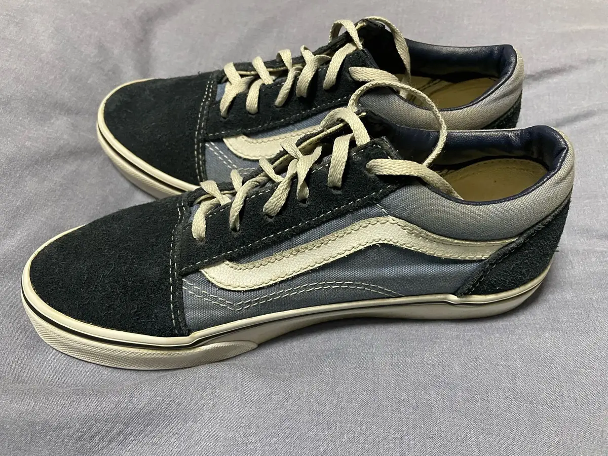 Vans Old Skool Blue and Black Sneakers