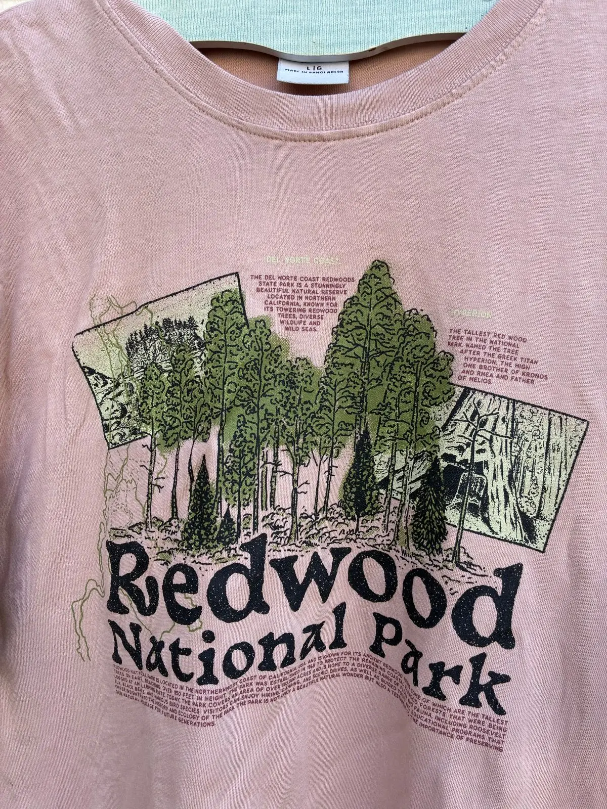 Cotton On Redwood National Park T-Shirt