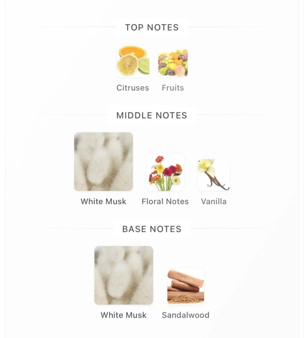Musk Mood Lattafa Perfume