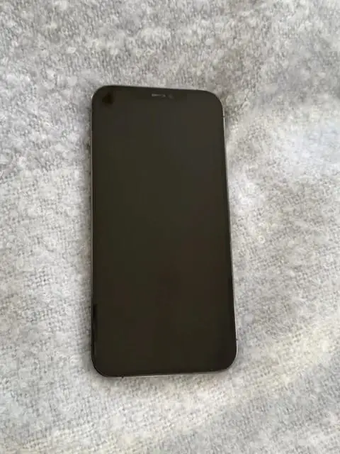 Apple iPhone 12 Pro Max