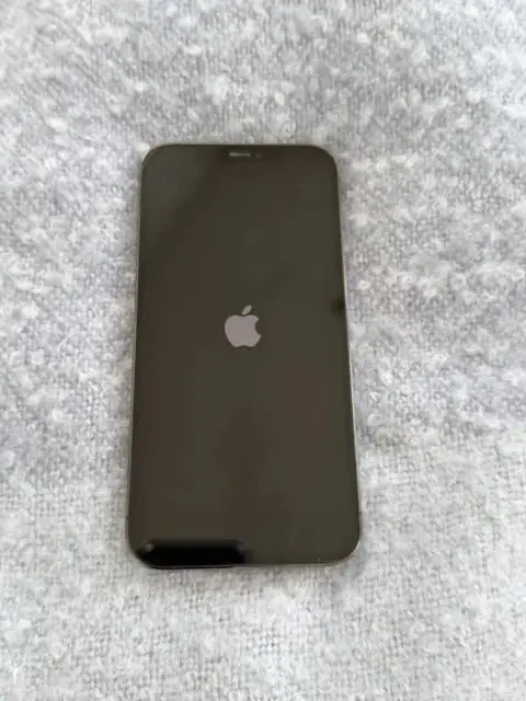 iPhone 12 Pro Max