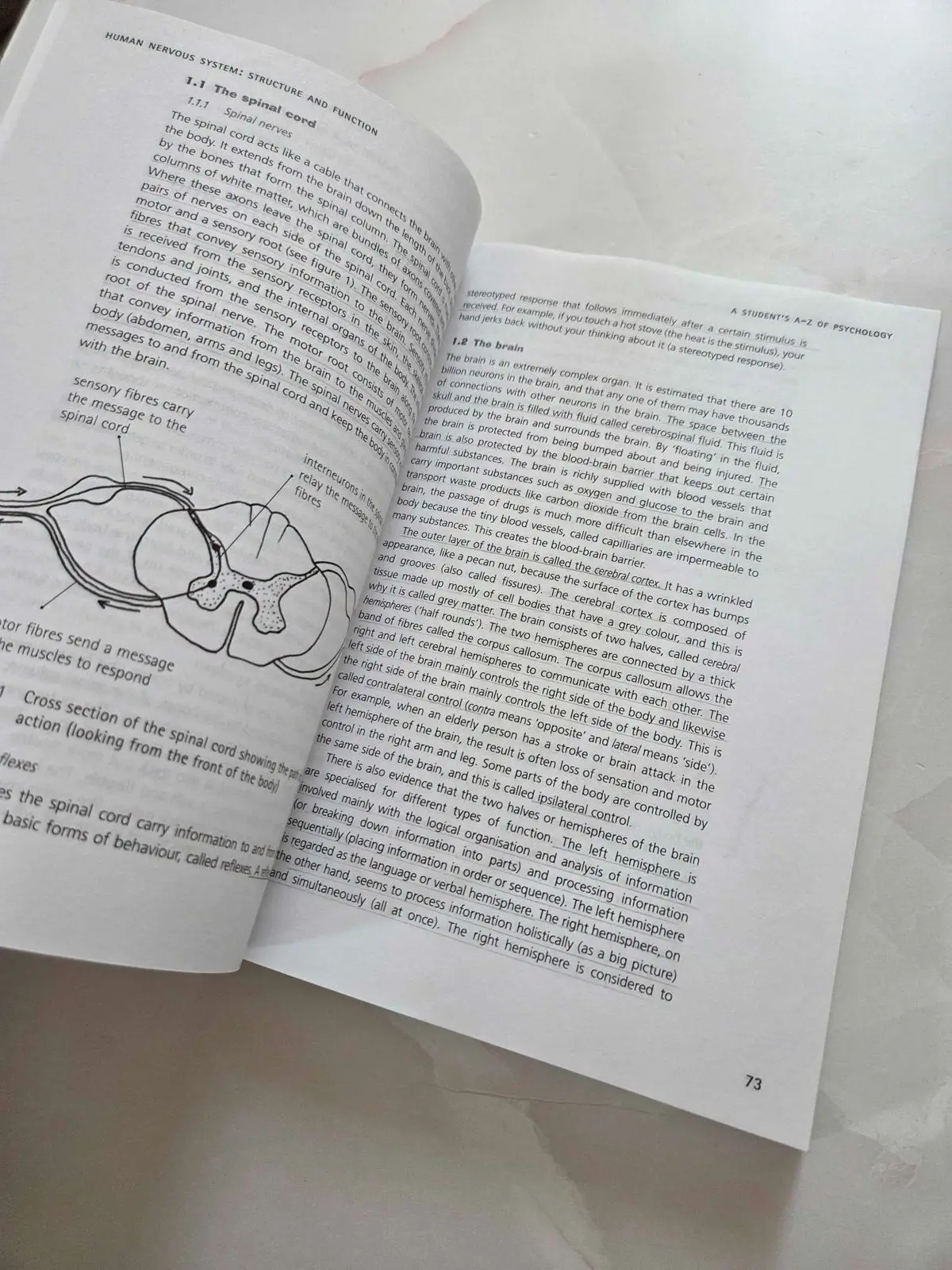 A Student's A-Z of Psychology Textbook