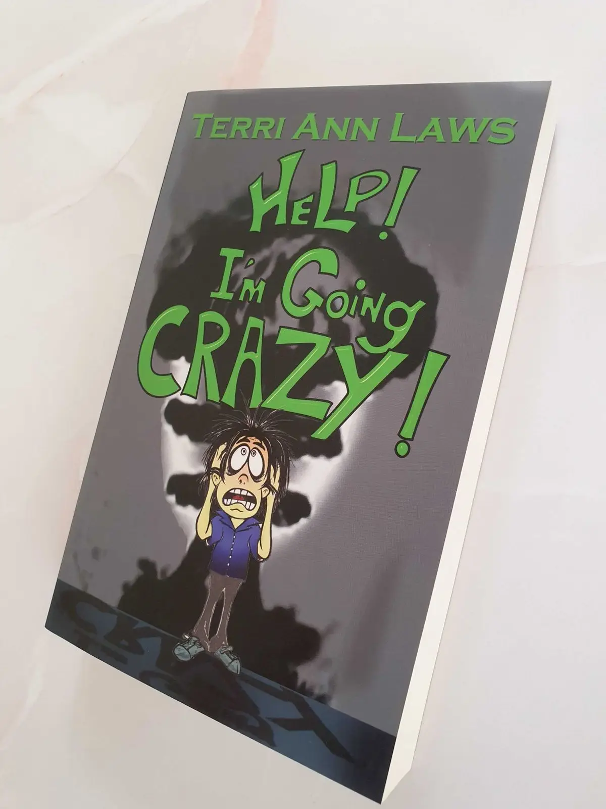 Help! I'm Going Crazy! - Terri Ann Laws Paperback
