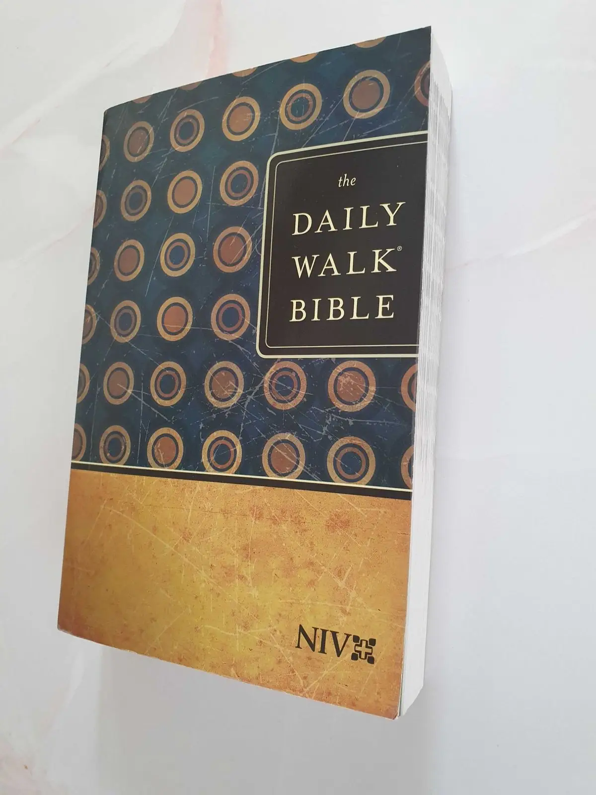 The Daily Walk Bible NIV Edition