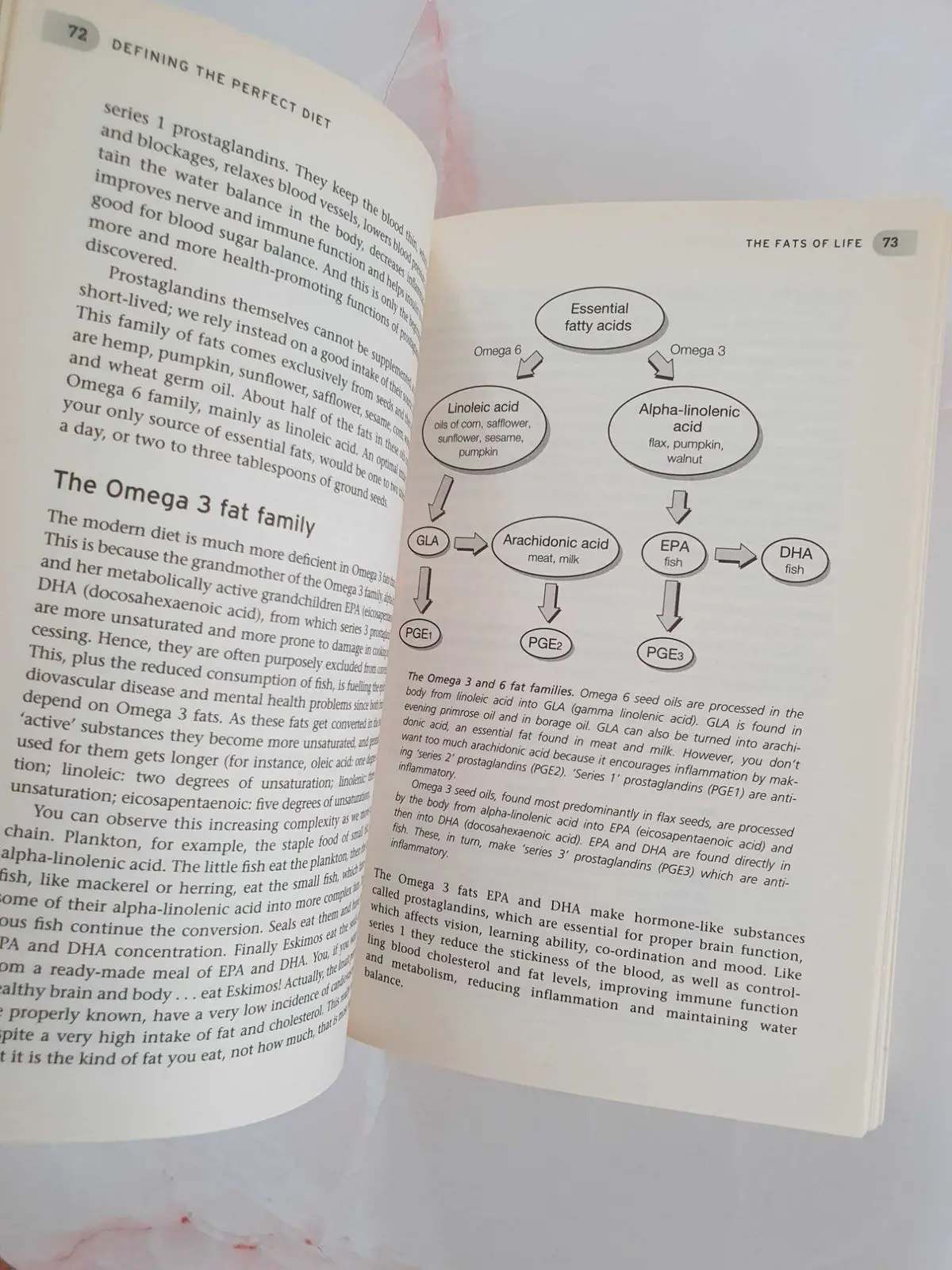 The Optimum Nutrition Bible by Patrick Holford