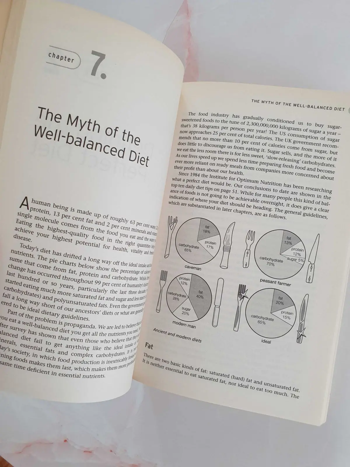 The Optimum Nutrition Bible by Patrick Holford
