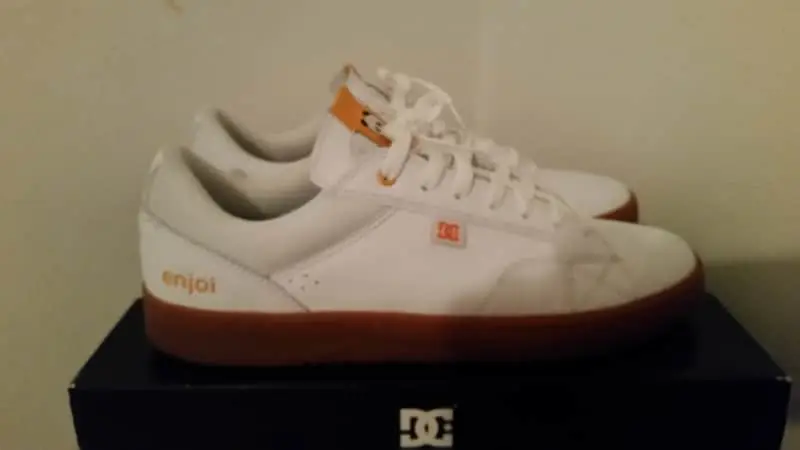 DC Astor x Enjoi