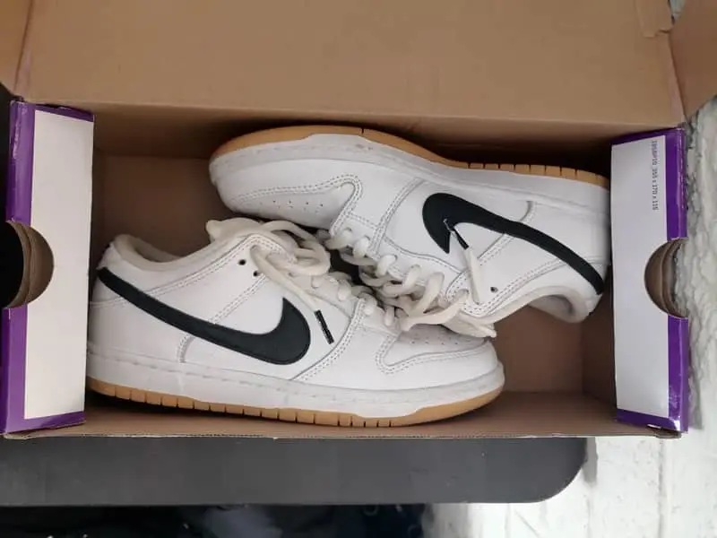 Nike SB dunks Pro