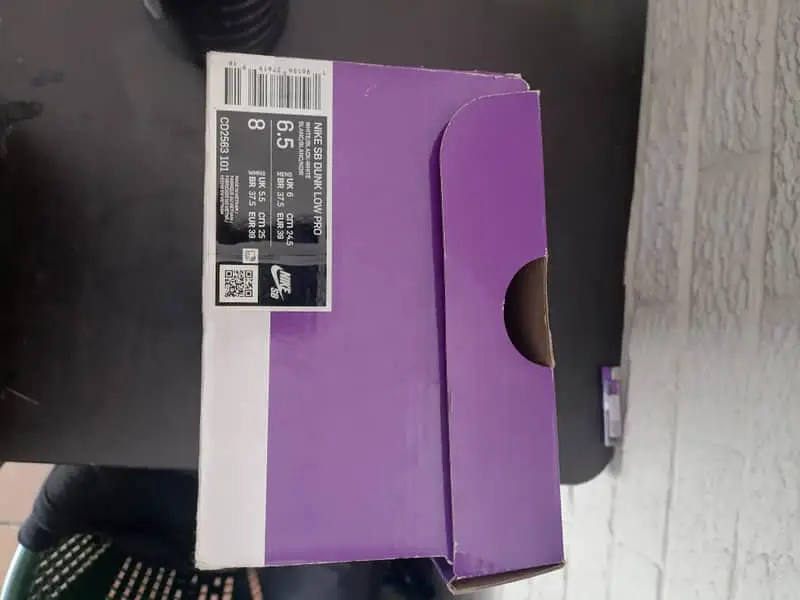 Nike SB dunks Pro