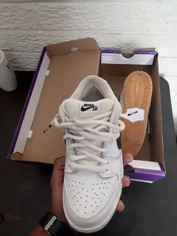 Nike SB dunks Pro