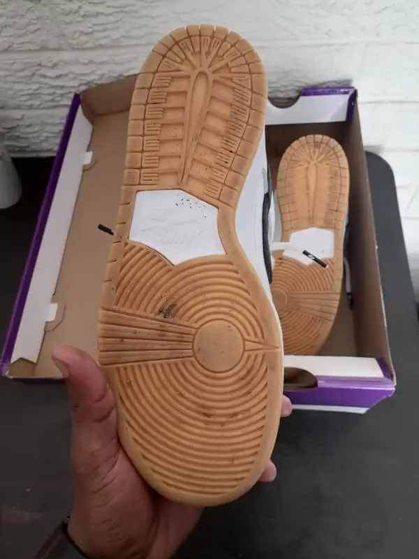 Nike SB dunks Pro