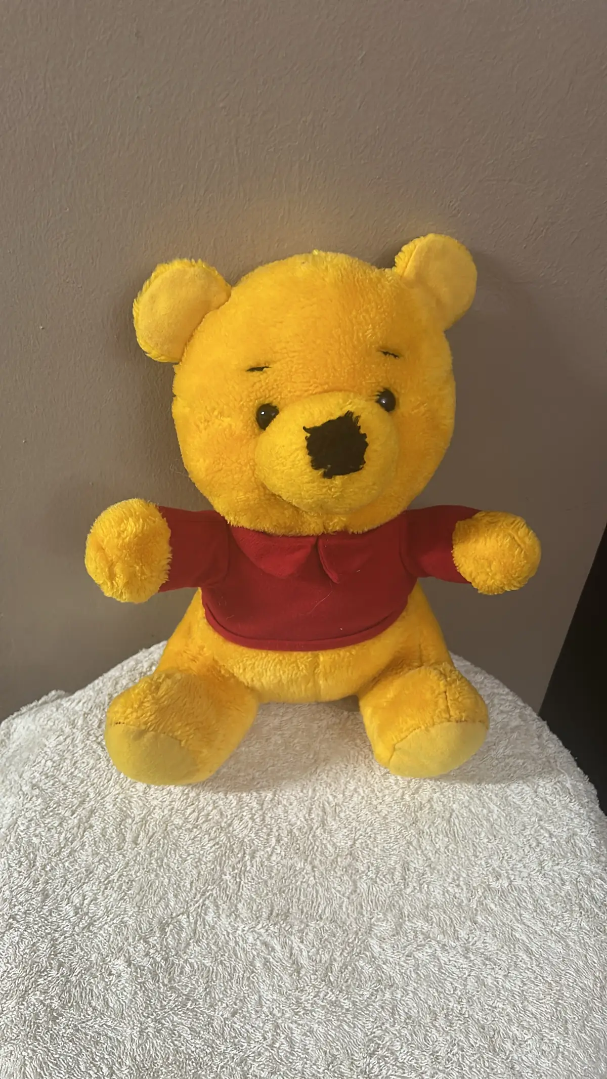 Disney Teddie Plush Toy