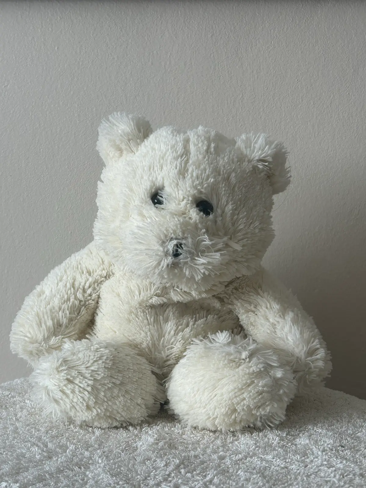 Fluffy White Teddy Bear Plush Toy