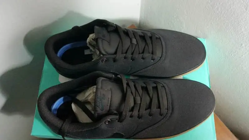 Nike SB Check Solar Sneakers