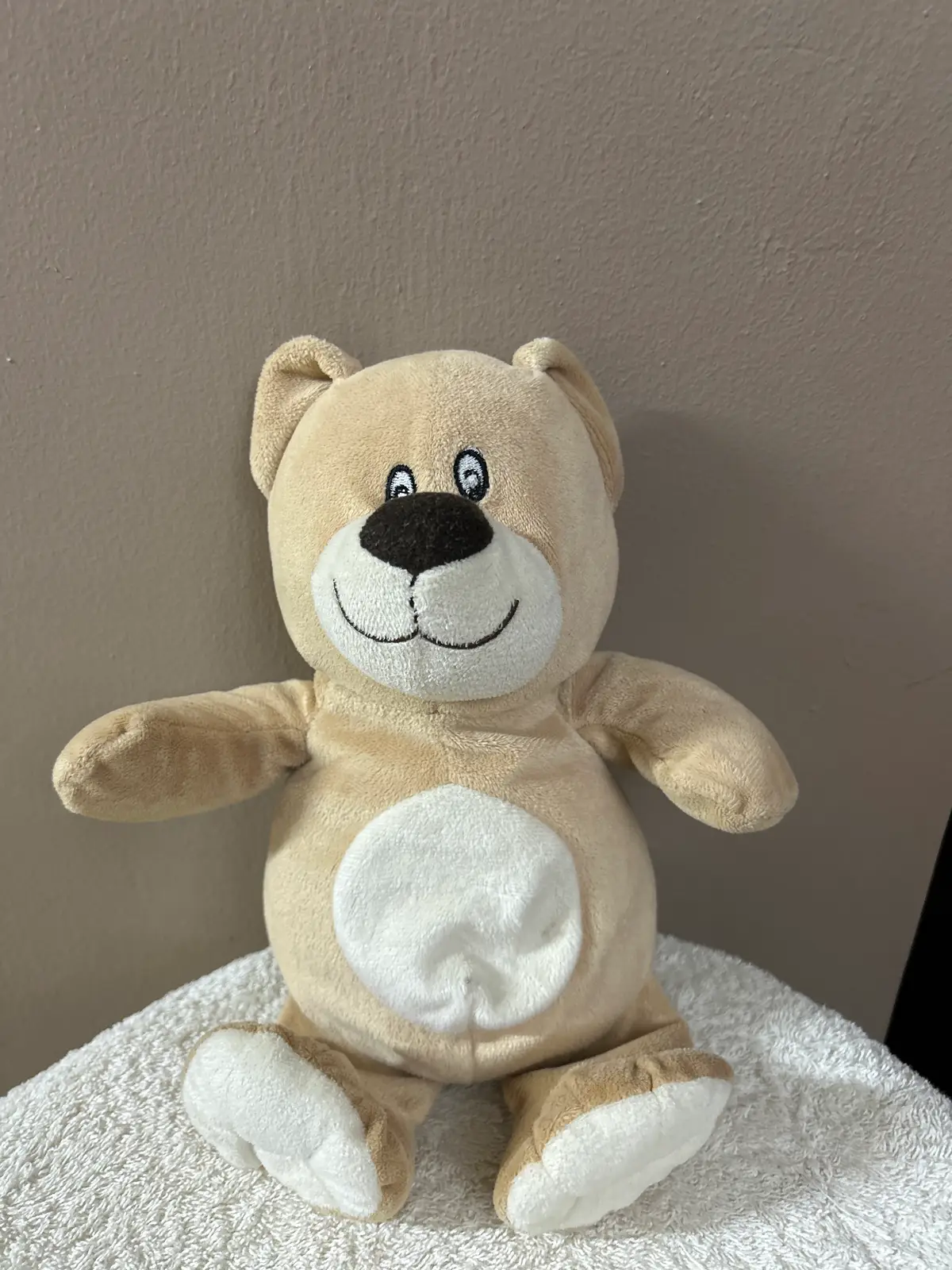 Plush Beige Teddy Bear Toy