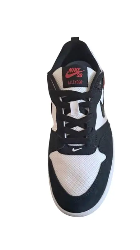 Nike sb Alleyoop