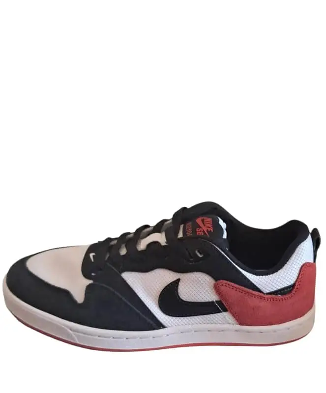 Nike sb Alleyoop