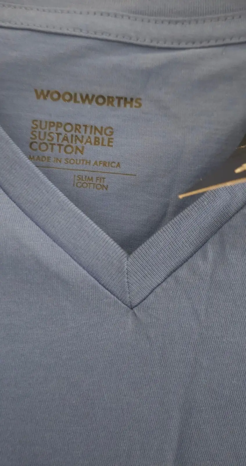 Woolworths Blue V-Neck Cotton T-Shirt