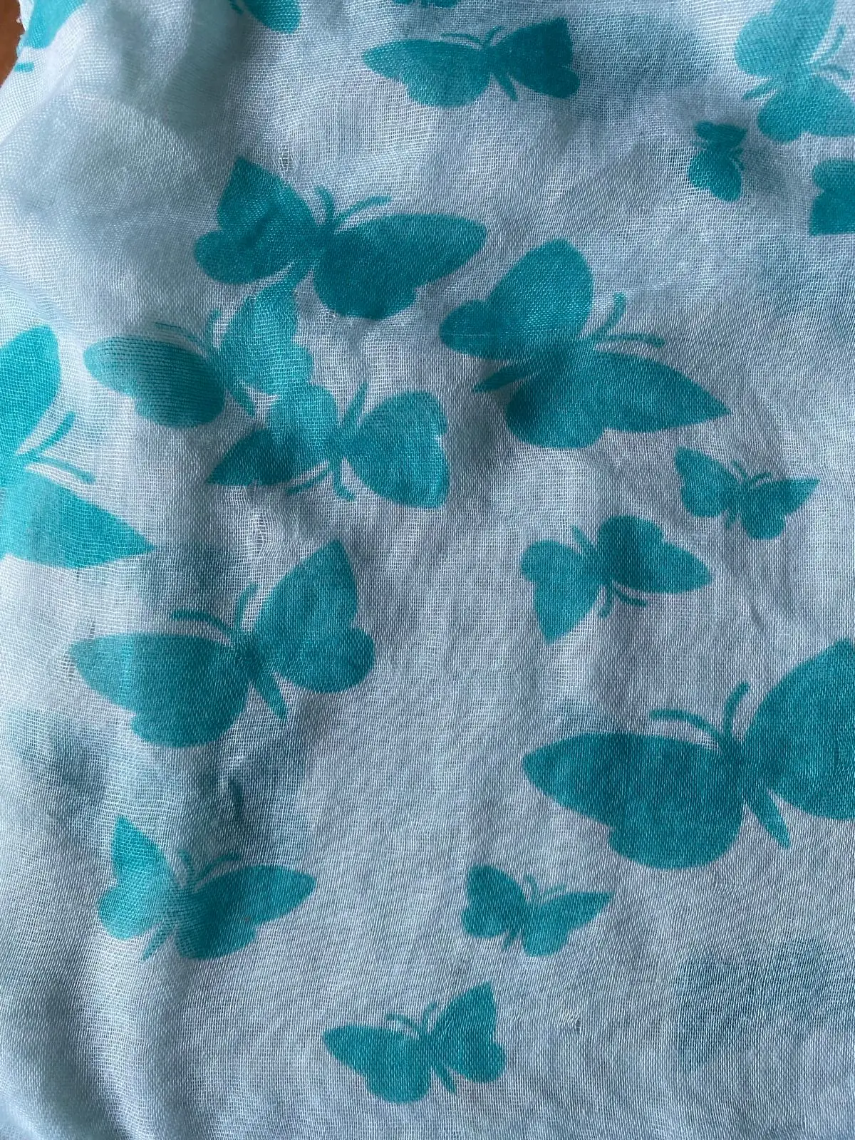 Queenspark Light Blue Butterfly Print Scarf