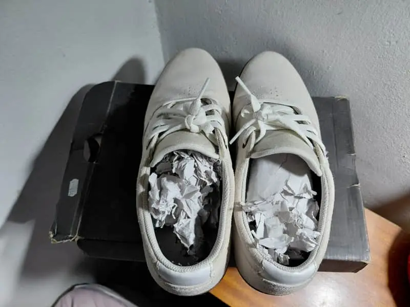 Emerica Figgy Dose