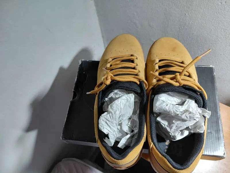 DC Hyde Sneakers
