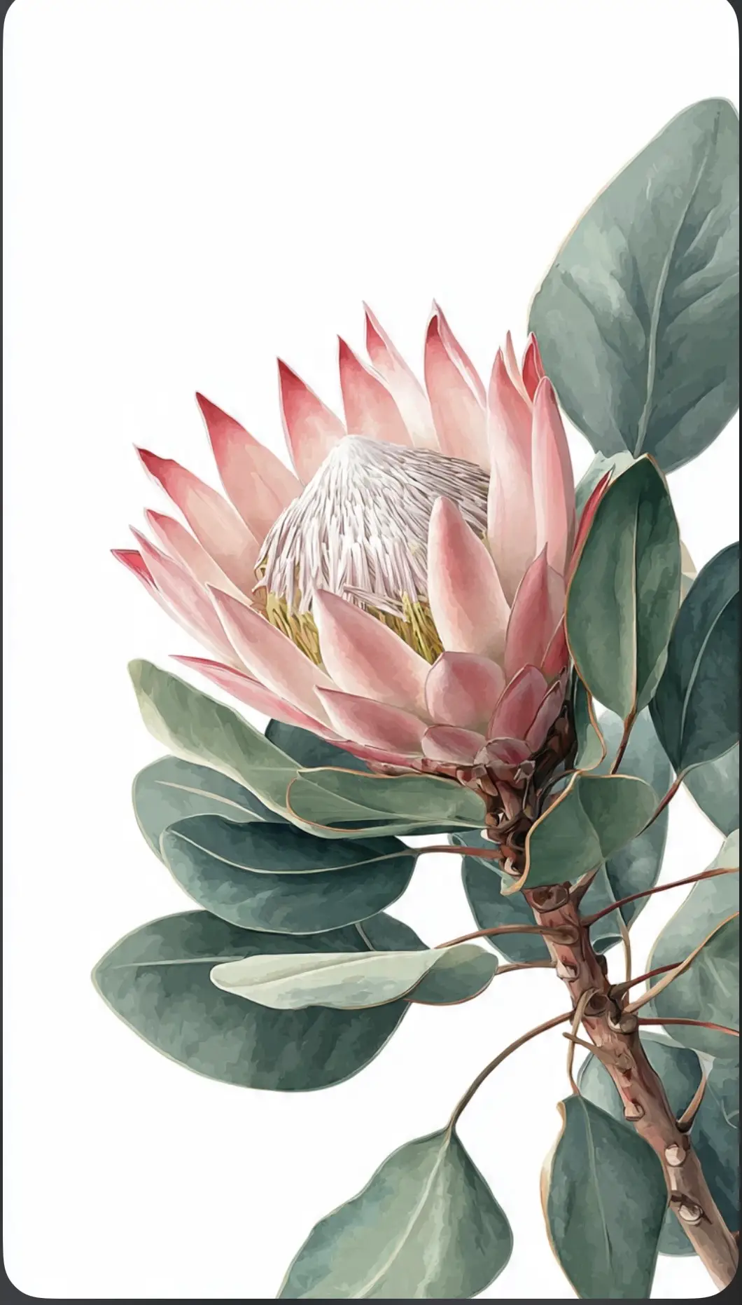 Ready to print on canvas images