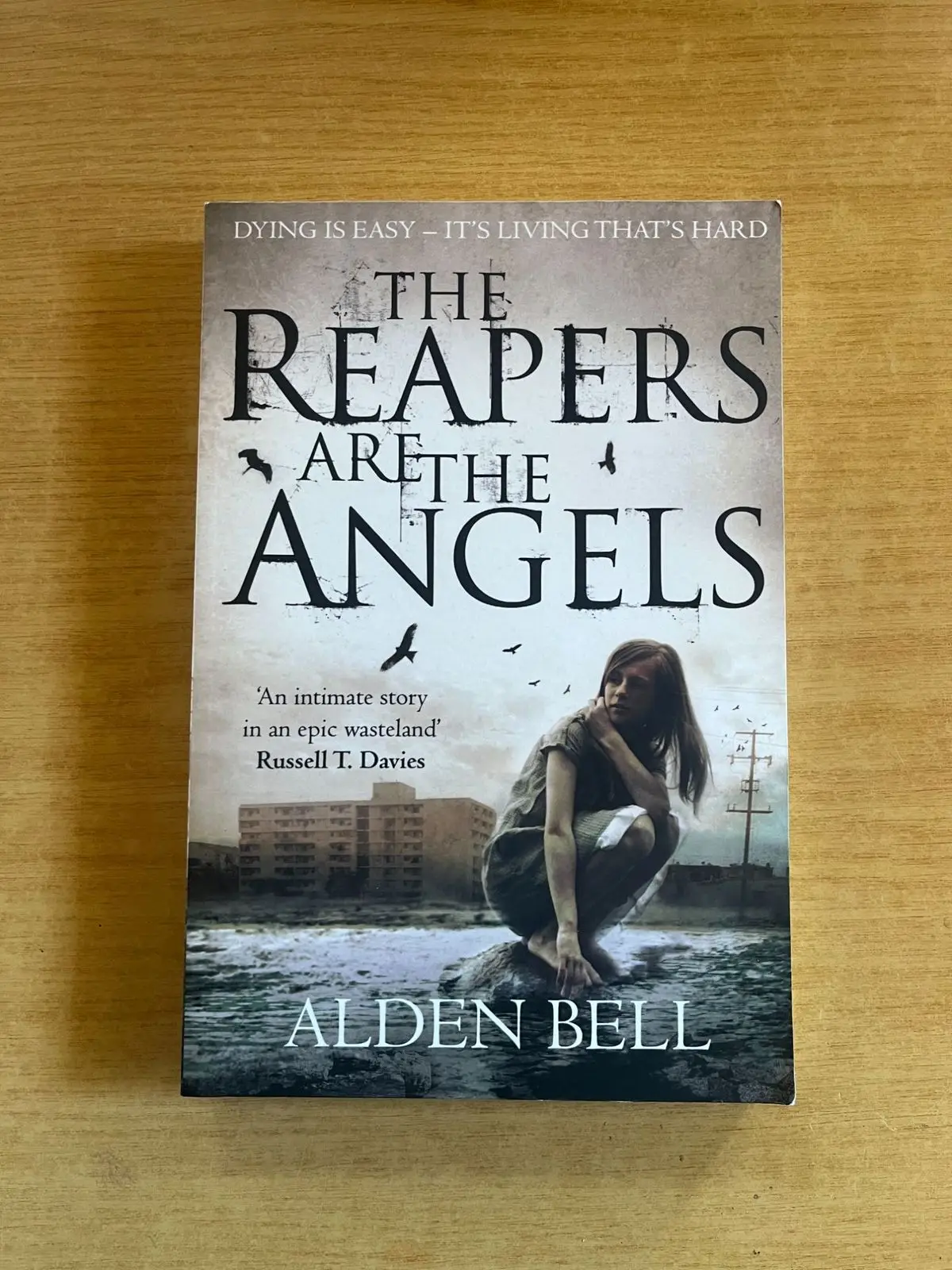 The Reapers Are the Angels by Alden Bell Paperback