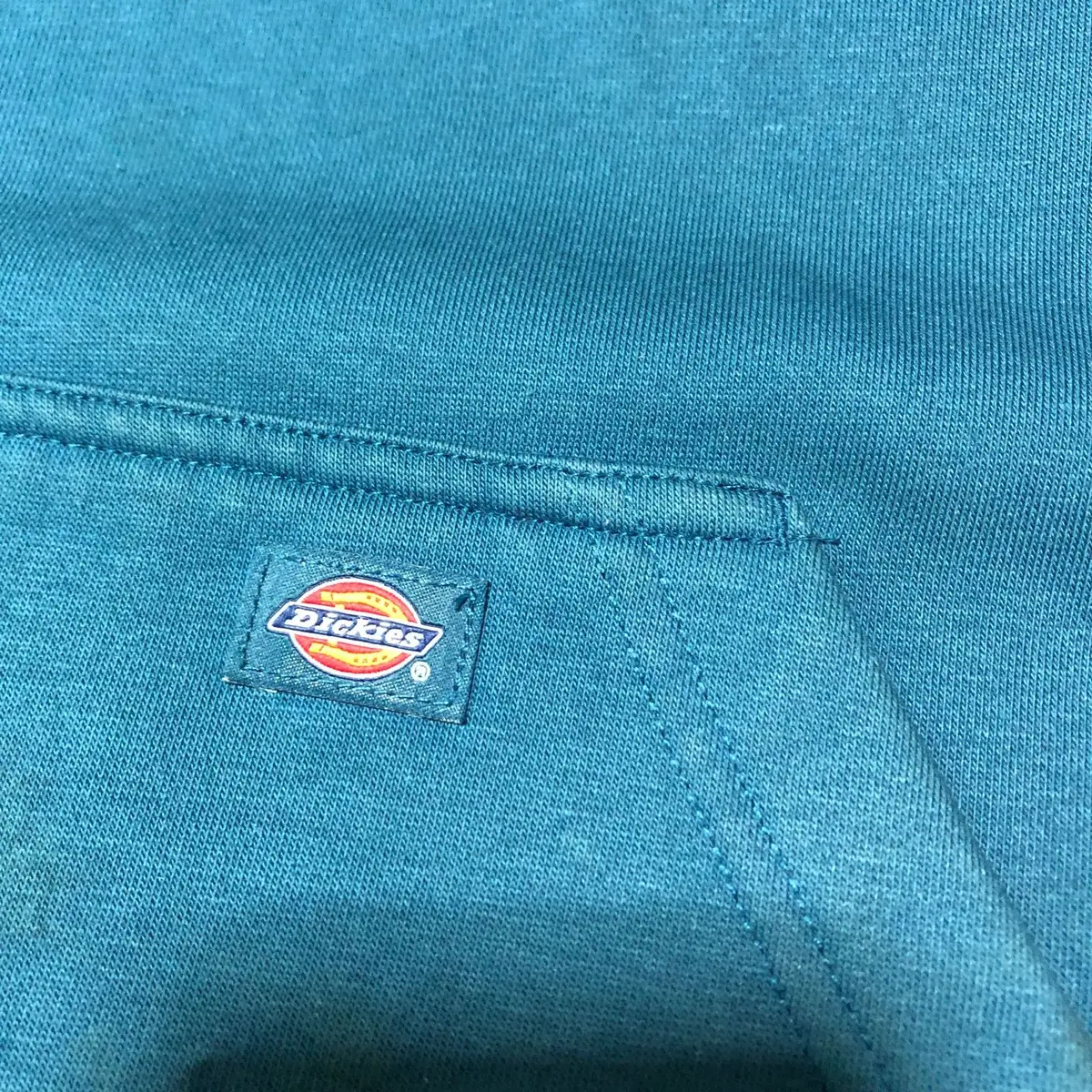 Dickies Teal Sleeve Print Hoodie