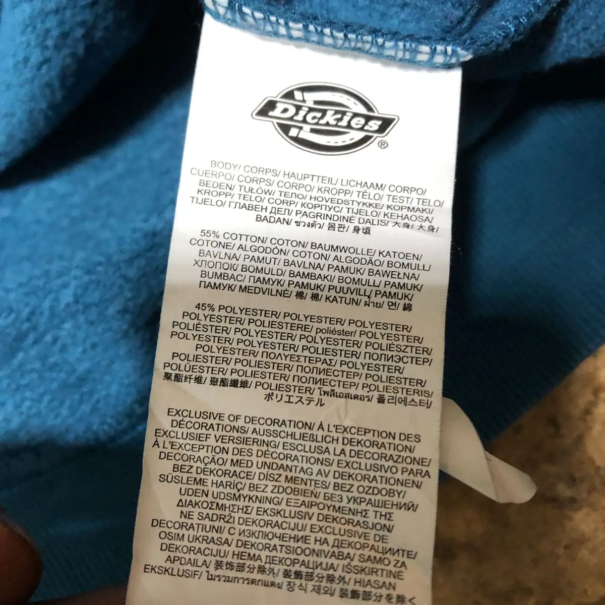 Dickies Teal Sleeve Print Hoodie