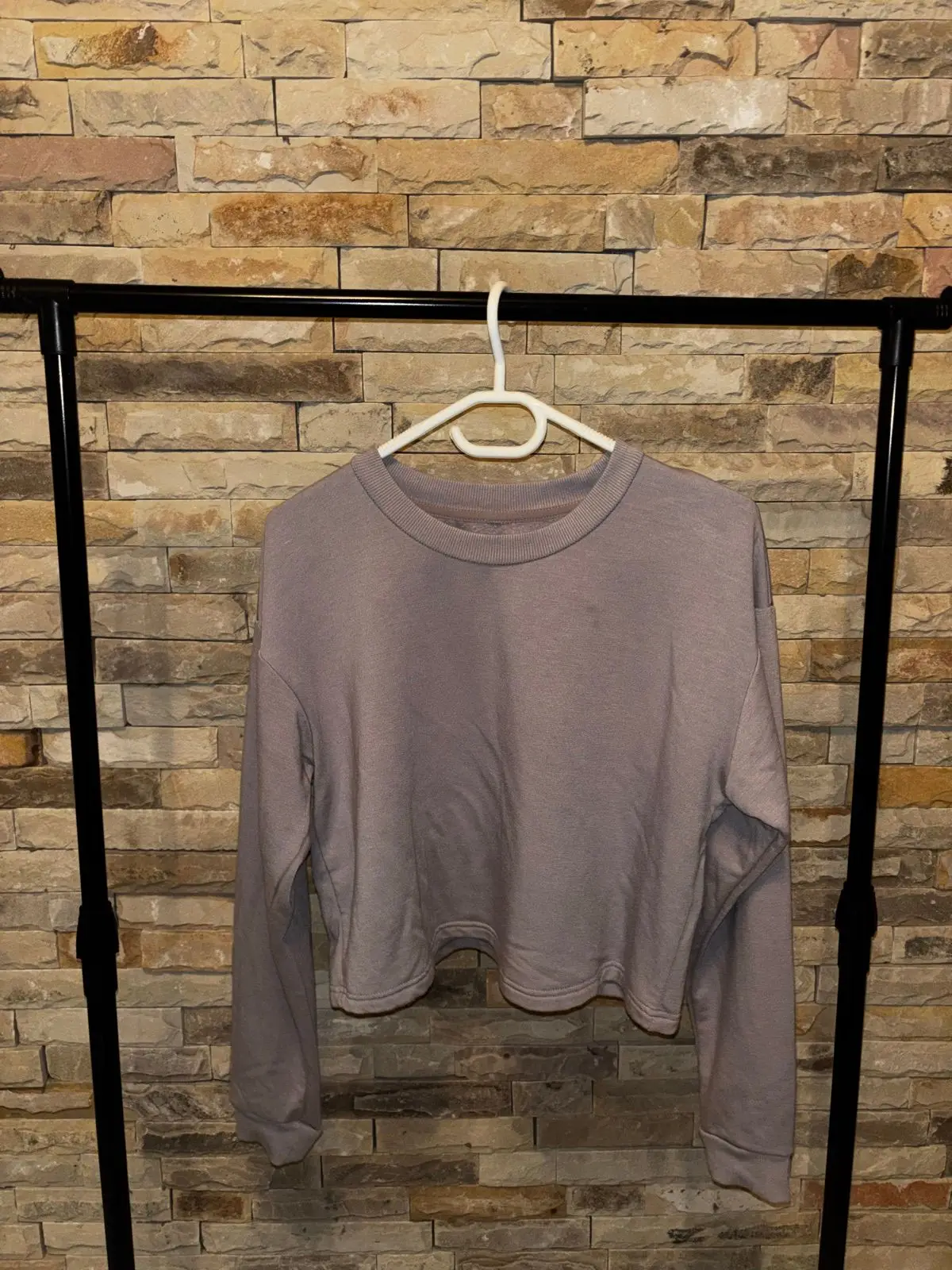 Shein Mauve Cropped Sweatshirt