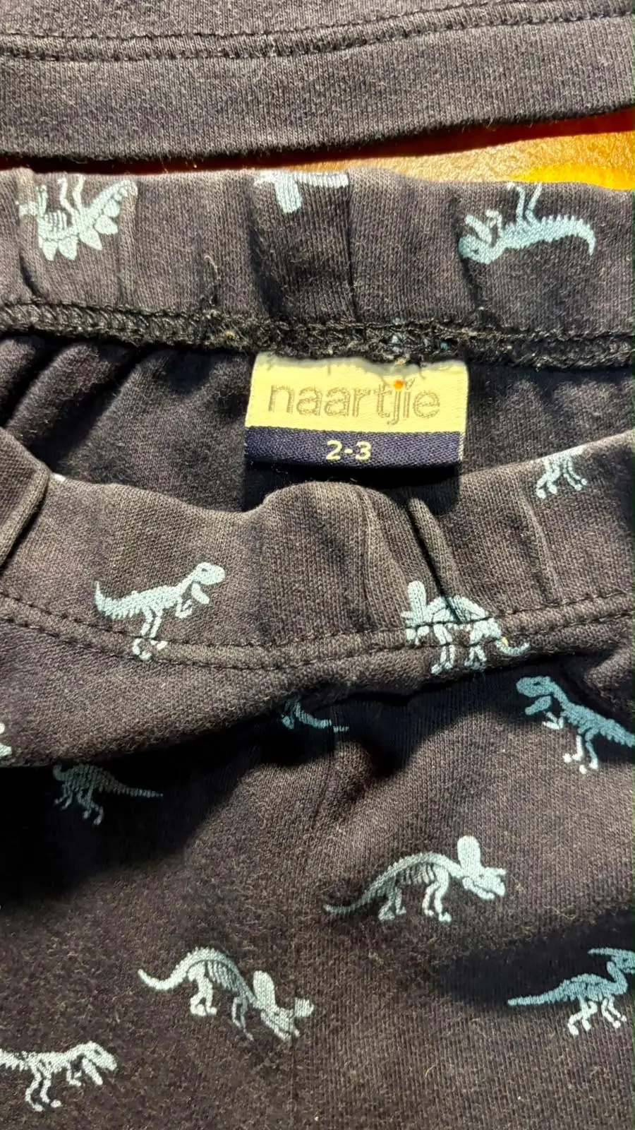 Naartjie Kids Dinosaur Fossil Club Pajama Set