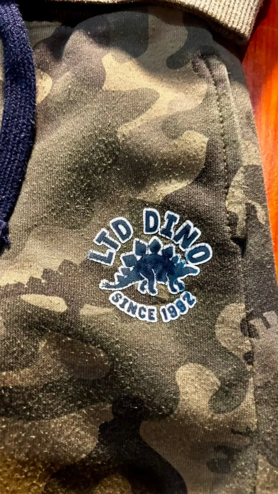 LTD Kids Camo Dinosaur Tracksuit Set