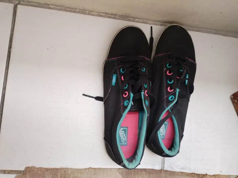 Vans sneakers