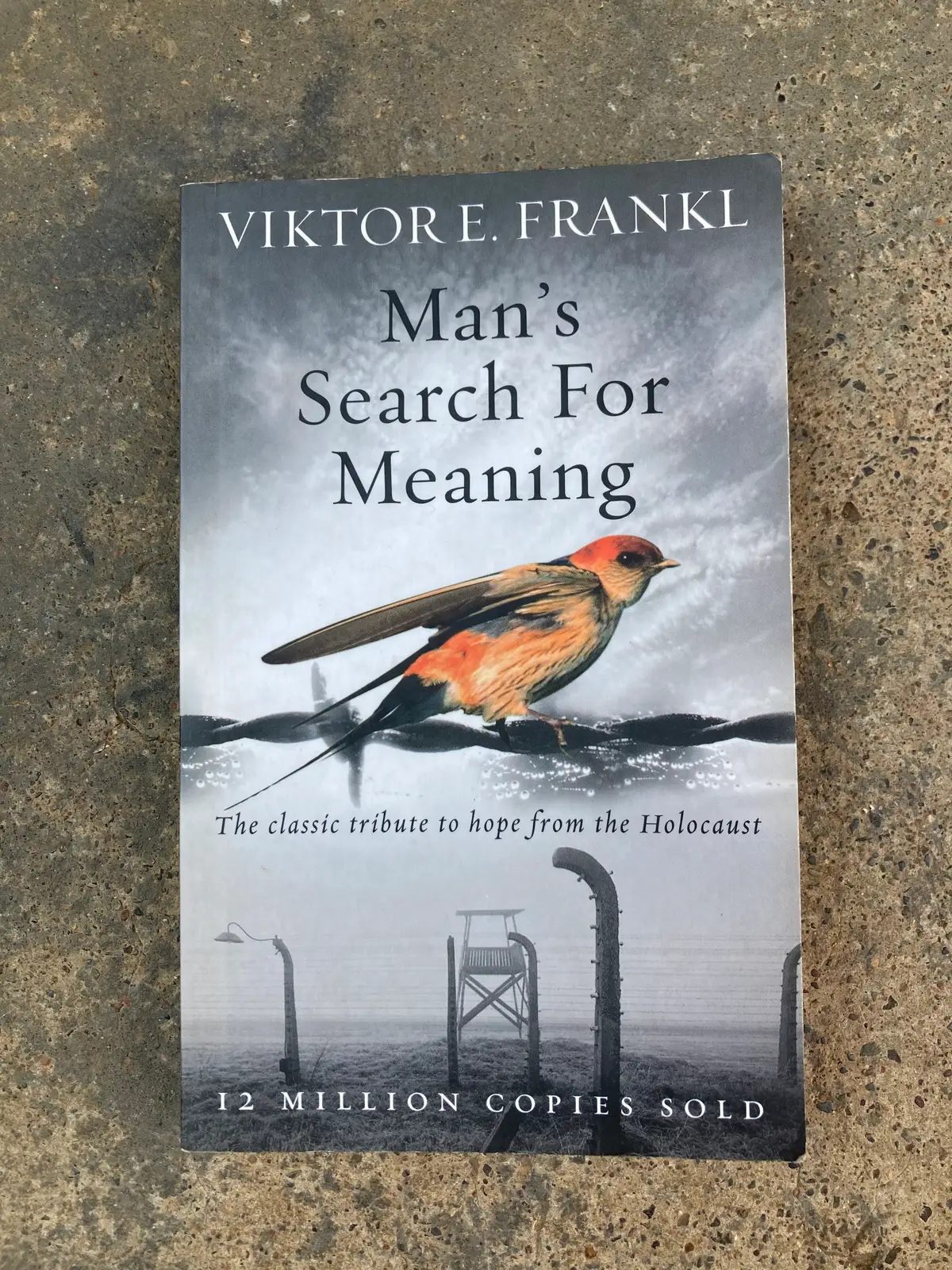 Man’s Searching For Meaning