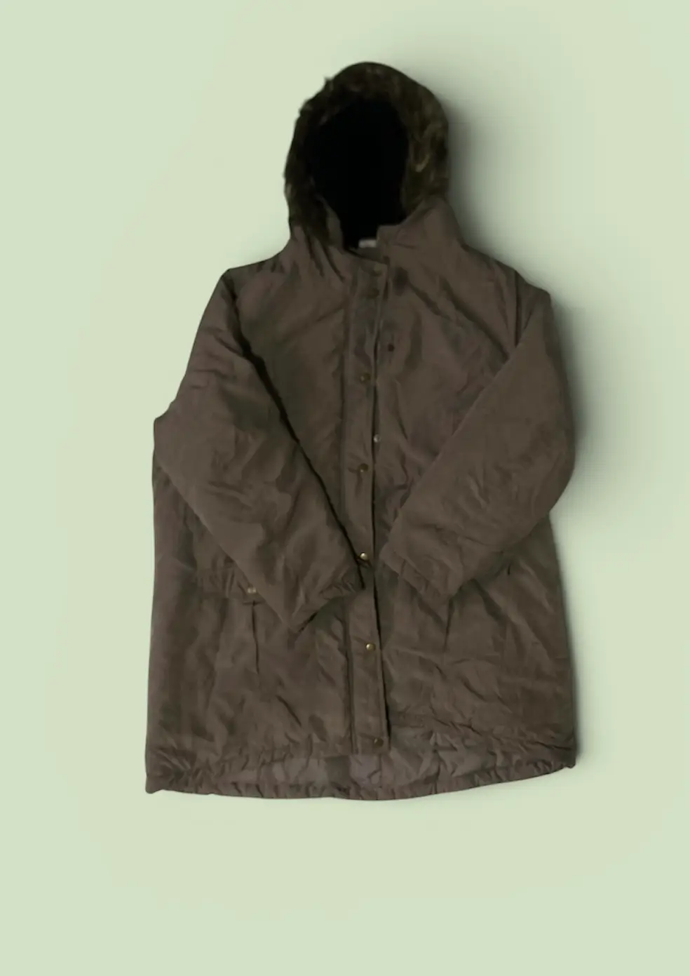 Brown Parka with Fur Hood