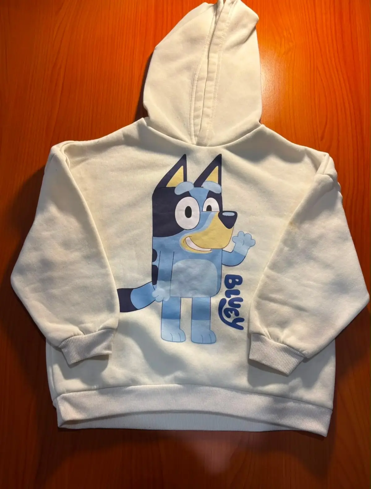 Disney Clothing & Apparel Kids Bluey Character Hoodie