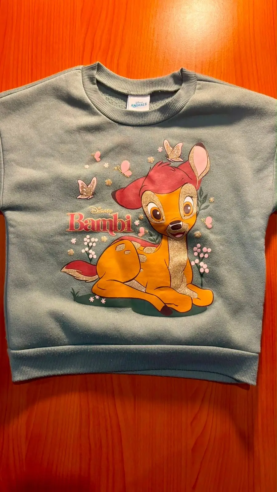 Kids Bluey Character Hoodie
