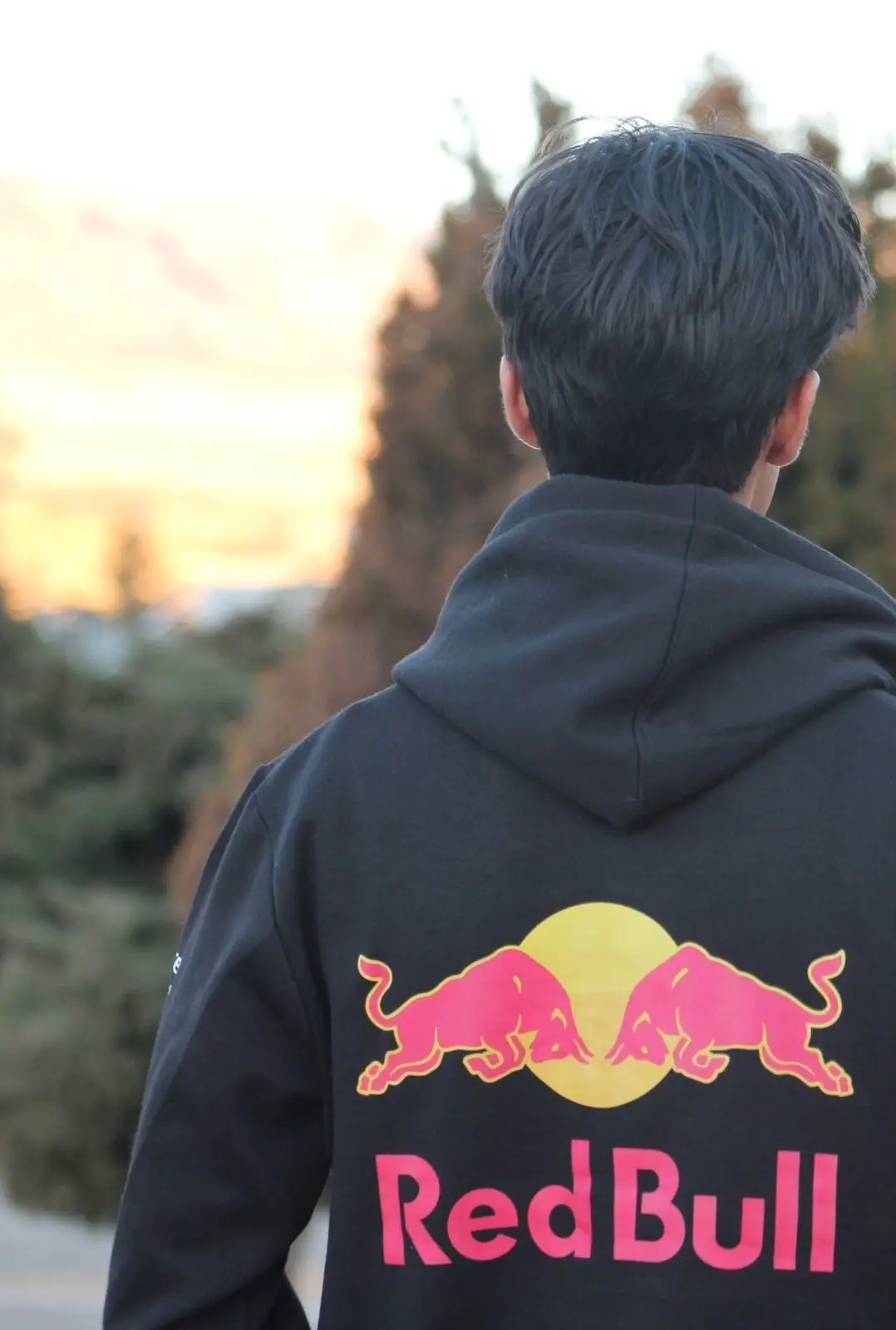 Custom Red Bull Black Hoodie