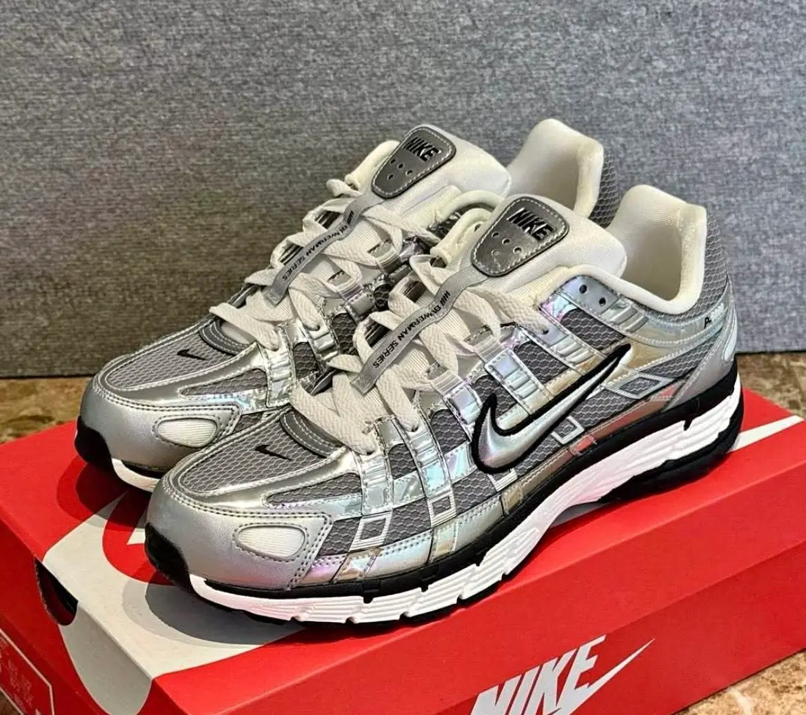 Nike Silver p6000
